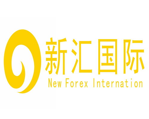 深圳市新匯國際信息技術(shù)咨詢 專業(yè)的信息技術(shù)咨詢服務(wù)助力企業(yè)數(shù)字化轉(zhuǎn)型